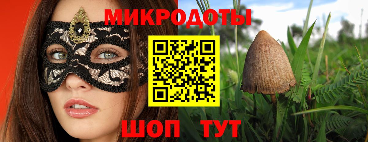 Галлюциногенные грибы Psilocybe Приморско-Ахтарск