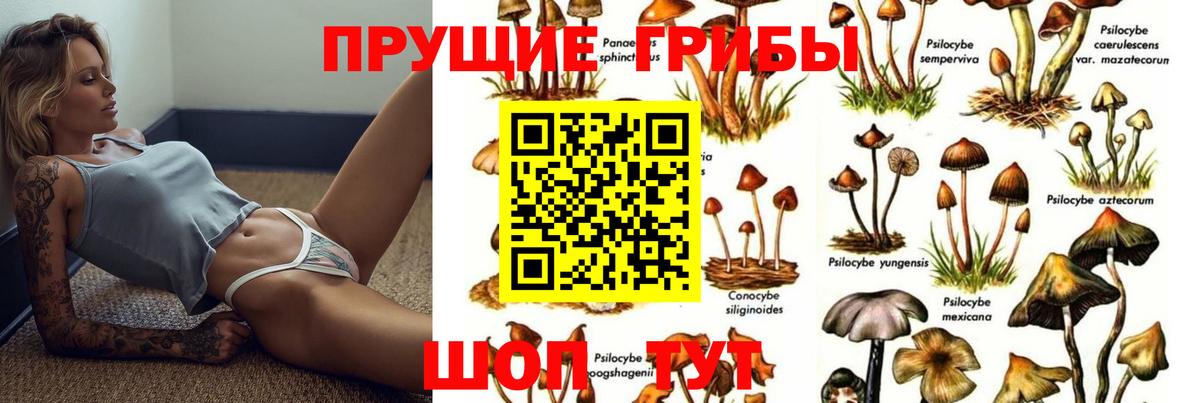 Псилоцибиновые грибы Psilocybine cubensis  Вход с VPN  Галлюциногенные грибы мухоморы  Приморско-Ахтарск 
